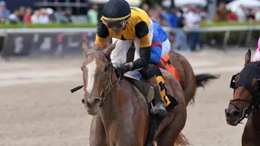 Potra que costó $2.000.000 va con Irad Ortiz Jr. esta semana Potra que costó $2.000.000 va con Irad Ortiz Jr. esta semana