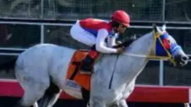 Triunfo Taquillero en el segundo paso de la Triple corona en Rep. Dominicana Triunfo Taquillero en el segundo paso de la Triple corona en Rep. Dominicana