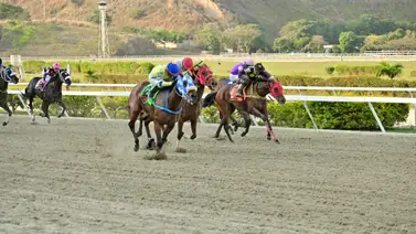 Luego de un corto paro regresa a la pista esta yegua que en su última era gran favorita Luego de un corto paro regresa a la pista esta yegua que en su última era gran favorita