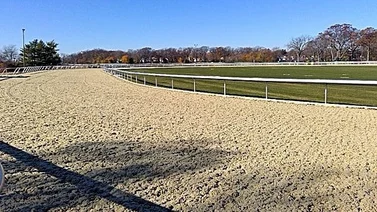 Repole propone boicot a carreras de invierno en hipódromo de Nueva York  y esta es la razón
