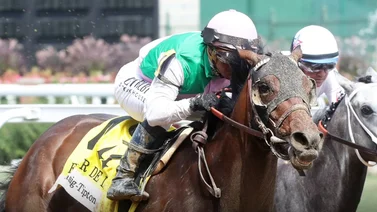 Javier Castellano viajará para montar en 4 stakes en este hipódromo de Estados Unidos