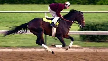 Ángel Alciro Castillo gana carrera con nieto del caballo más caro del mundo Ángel Alciro Castillo gana carrera con nieto del caballo más caro del mundo