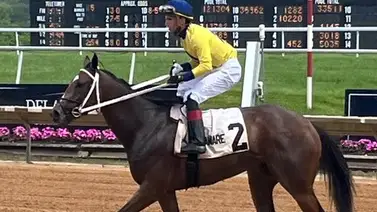 Yegua Ganadora Clásica de Grado 1 muere luego de un traqueo Yegua Ganadora Clásica de Grado 1 muere luego de un traqueo