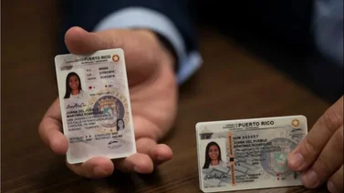 EEUU: ¿Personas sin documentos legales pueden tramitar el REAL ID en Estados Unidos?