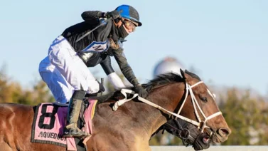 Jockey venezolano duplica en la jornada del miércoles en Estados Unidos