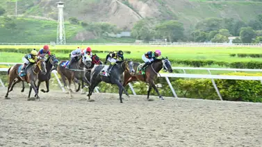 Como ajustó esta yegua puede ser la gran sorpresa del 5y6 en La Rinconada Como ajustó esta yegua puede ser la gran sorpresa del 5y6 en La Rinconada