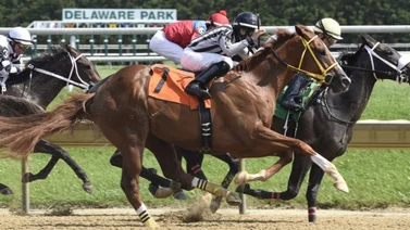 Jockeys puertorriqueños arrasan el miércoles en hipódromo de Estados Unidos