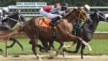 Jockeys puertorriqueños arrasan el miércoles en hipódromo de Estados Unidos Jockeys puertorriqueños arrasan el miércoles en hipódromo de Estados Unidos