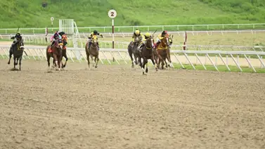 Este ejemplar ajustó “clavo” y seguro decide la Copa Ángel Francisco Parra Este ejemplar ajustó “clavo” y seguro decide la Copa Ángel Francisco Parra