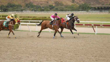 Así ajusta esta yegua que podría ser la línea del cuadro del 5y6 en La Rinconada