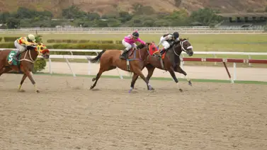 Así ajusta esta yegua que podría ser la línea del cuadro del 5y6 en La Rinconada Así ajusta esta yegua que podría ser la línea del cuadro del 5y6 en La Rinconada