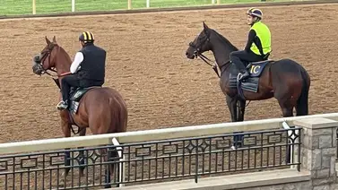 Yegua campeona sudamericana buscará ganar otro Stakes en Estados Unidos Yegua campeona sudamericana buscará ganar otro Stakes en Estados Unidos
