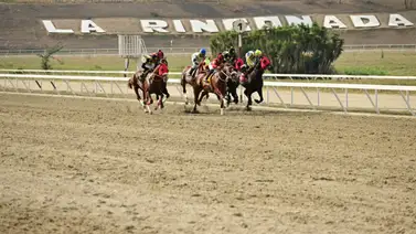 Como ajustó este caballo puede sorprender a uno de los fijos de la reunión 26 Como ajustó este caballo puede sorprender a uno de los fijos de la reunión 26