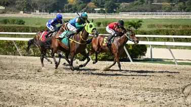 Potro que anda en el aire ajusta fenómeno y puede ser el “tajo” del Cría Nacional Potro que anda en el aire ajusta fenómeno y puede ser el “tajo” del Cría Nacional