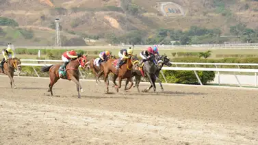 Potro que siempre han tenido por bueno ajusta bien y puede ser la sorpresa de la tarde Potro que siempre han tenido por bueno ajusta bien y puede ser la sorpresa de la tarde