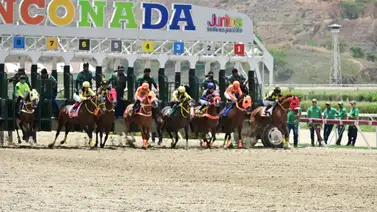 Potro que esta invicto comienza a tomar condición en La Rinconada (+Declaraciones) Potro que esta invicto comienza a tomar condición en La Rinconada (+Declaraciones)