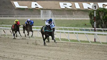 Como ajustó este potro tiene mucho que buscar en el Cría Nacional Como ajustó este potro tiene mucho que buscar en el Cría Nacional