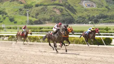 Como ajustó este ejemplar puede ser una línea de pantalones largos en la primera carrera del programa en La Rinconada Como ajustó este ejemplar puede ser una línea de pantalones largos en la primera carrera del programa en La Rinconada