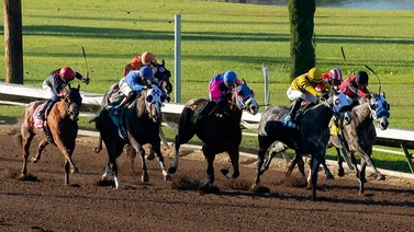 Jockey venezolano duplica y pelea la estadística a dos fechas de terminar el meeting