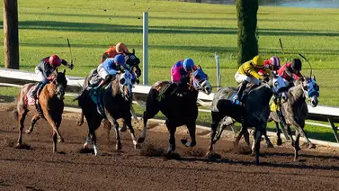 Jockey venezolano duplica y pelea la estadística a dos fechas de terminar el meeting Jockey venezolano duplica y pelea la estadística a dos fechas de terminar el meeting