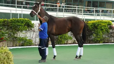 Conoce cómo está Li Tre Fratelli (+Declaraciones) Conoce cómo está Li Tre Fratelli (+Declaraciones)