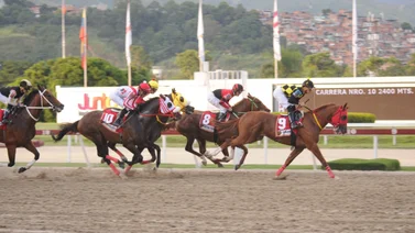 Este es el caballo que debería ganar el Fuerza Armada por su pedigrí