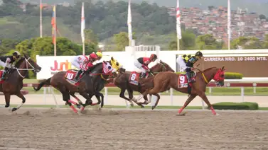 Este es el caballo que debería ganar el Fuerza Armada por su pedigrí Este es el caballo que debería ganar el Fuerza Armada por su pedigrí