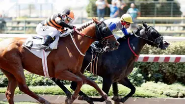 Hijo de semental venezolano gana su primera carrera del año en Estados Unidos Hijo de semental venezolano gana su primera carrera del año en Estados Unidos