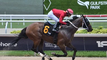 Jockeys puertorriqueños dominan la jornada del viernes en Gulfstream Park