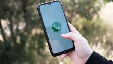 WhatsApp se actualiza y ofrece esta increíble función a sus usuarios WhatsApp se actualiza y ofrece esta increíble función a sus usuarios