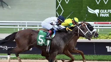 Emisael Jaramillo gana un nuevo Stakes en Gulfstream Park Emisael Jaramillo gana un nuevo Stakes en Gulfstream Park