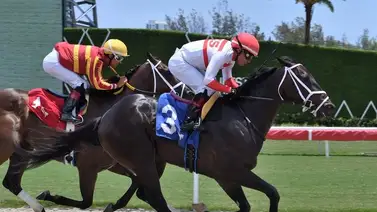 Yunta venezolana abre con victoria en la jornada de carrera de Gulfstream Park Yunta venezolana abre con victoria en la jornada de carrera de Gulfstream Park