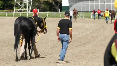 Estos son los retirados de la reunión 26 en La Rinconada 7-7-2024 Estos son los retirados de la reunión 26 en La Rinconada 7-7-2024