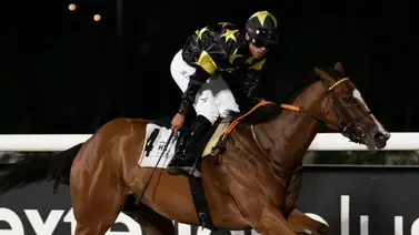 Aprendiz venezolano gana su primera carrera en Europa Aprendiz venezolano gana su primera carrera en Europa