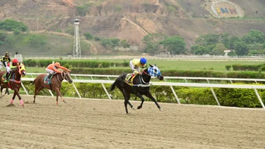 Conoce el dato de “los avispados” que de ganar paga una fortuna