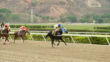 Conoce el dato de “los avispados” que de ganar paga una fortuna Conoce el dato de “los avispados” que de ganar paga una fortuna