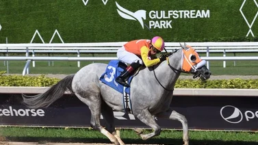Así quedaron los resultados de las carreras Gulfstream Park 6-07-2024