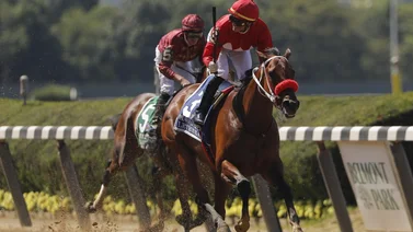 Mira cuál jockey de Puerto Rico empató con Angel Cordero Jr. en este récord histórico