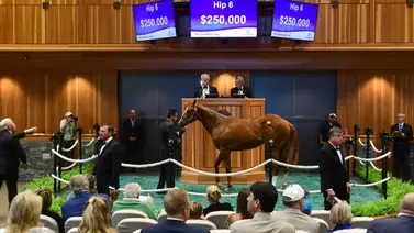 Estas son las dos grandes subastas que abren la semana en Estados Unidos Estas son las dos grandes subastas que abren la semana en Estados Unidos