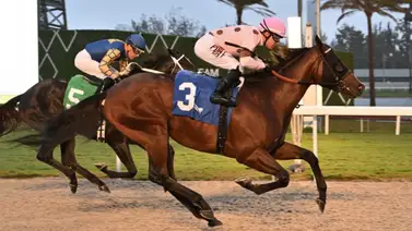 Junior Alvarado consigue su cuarto Graded Stakes del año en Estados Unidos Junior Alvarado consigue su cuarto Graded Stakes del año en Estados Unidos