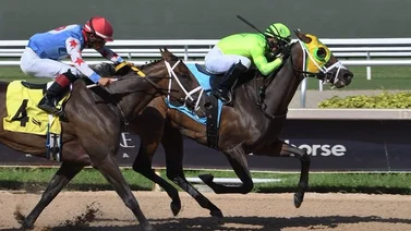 Esta es la única yunta venezolana que ganó este domingo en Gulfstream Park