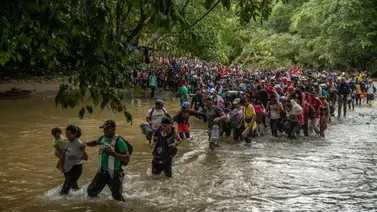 Selva Darien Selva Darien