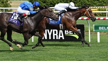 Jockey boricua supera a Irad Ortiz Jr. y se lleva el campeonato en este hipódromo de Estados Unidos