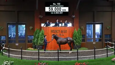 Más de 3 millones de dólares cuesta yearling del mismo padre de Equinox Más de 3 millones de dólares cuesta yearling del mismo padre de Equinox