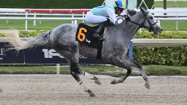Ismerio Villalobos se hizo sentir en este hipódromo de Estados Unidos Ismerio Villalobos se hizo sentir en este hipódromo de Estados Unidos