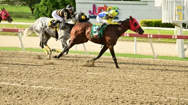 Jockey múltiple ganador de pruebas selectivas de grado vuelve a La Rinconada
