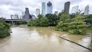 Texas: Beryl deja al menos tres muertos tras su paso por Houston Texas: Beryl deja al menos tres muertos tras su paso por Houston