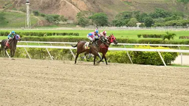 Nieto de caballo múltiple ganador selectivo reaparece este domingo en La Rinconada Nieto de caballo múltiple ganador selectivo reaparece este domingo en La Rinconada