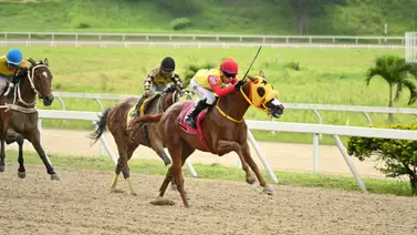 Yegua que tiene 225 días sin correr regresa a las pistas y puede ser el tajo de esta semana en La Rinconada Yegua que tiene 225 días sin correr regresa a las pistas y puede ser el tajo de esta semana en La Rinconada