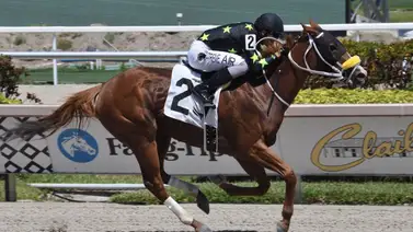 Wilfred Vásquez le gana la carrera del día a Paco López en Park Racing Wilfred Vásquez le gana la carrera del día a Paco López en Park Racing